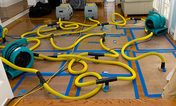 Professional Sewage Cleanup technician working in Carrollton, TX